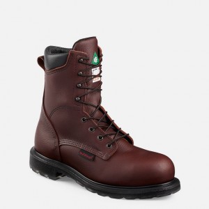 Botas de Trabajo Red Wing SuperSole® 2.0 Hombre | CNZUWTV-57