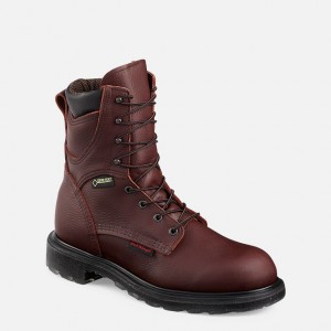 Botas de Trabajo Red Wing SuperSole® 2.0 Hombre | VYXKWFG-24