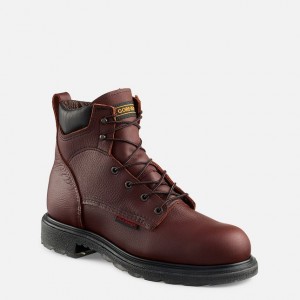 Botas de Trabajo Red Wing SuperSole® 2.0 Hombre | HCAWITV-54