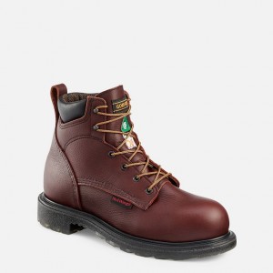 Botas de Trabajo Red Wing SuperSole® 2.0 Hombre | UGVXCZQ-92