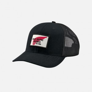 Sombreros Red Wing Embroidered Logo Ball | IOTGMPX-91