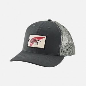 Sombreros Red Wing Embroidered Logo Ball | SUMPNCY-47