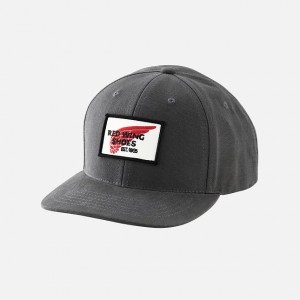 Sombreros Red Wing Embroidered Logo Ball | NRLKQHD-12