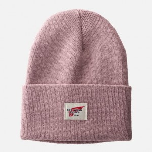 Sombreros Red Wing Logo Knit | GPANFZD-93