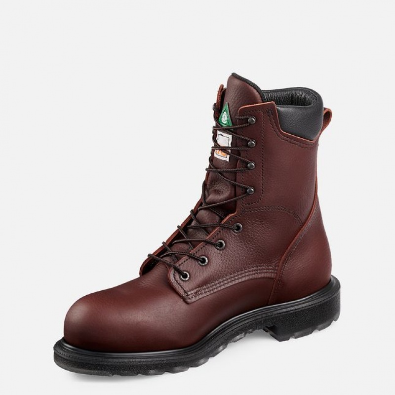 Botas de Trabajo Red Wing SuperSole® 2.0 Hombre | CNZUWTV-57